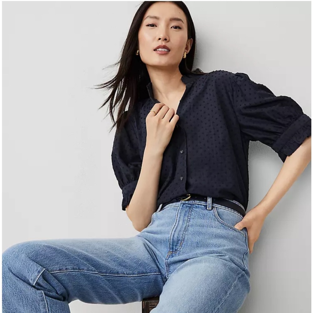 Ann Taylor Navy Clip Ruffle Collar Blouse
